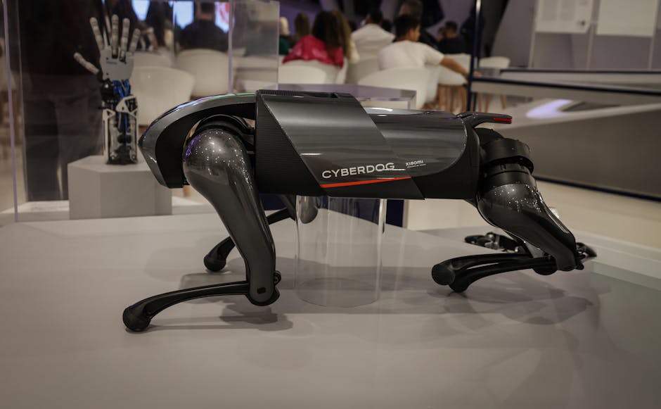 Șanțuri și conducte